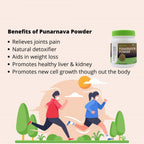 Promotional graphic for Punarnava Powder with benefits listed and a container of the product.