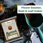 Vedcare Mustard Oil Cake Powder package with gardening tools on a soil background