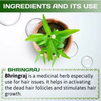 Bhringraj herb in a pot with text about its use for hair issues on a light background