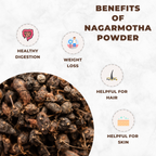 Benefits of Nagarmotha powder with icons and text on a white background