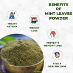 Green mint leaves powder in a bowl with icons and text listing benefits on a white background