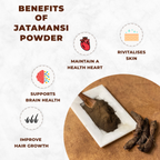 Benefits of Jatamansi powder with illustrations and text on a white background