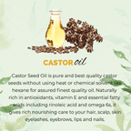Bottle of castor oil with seeds on a light green background