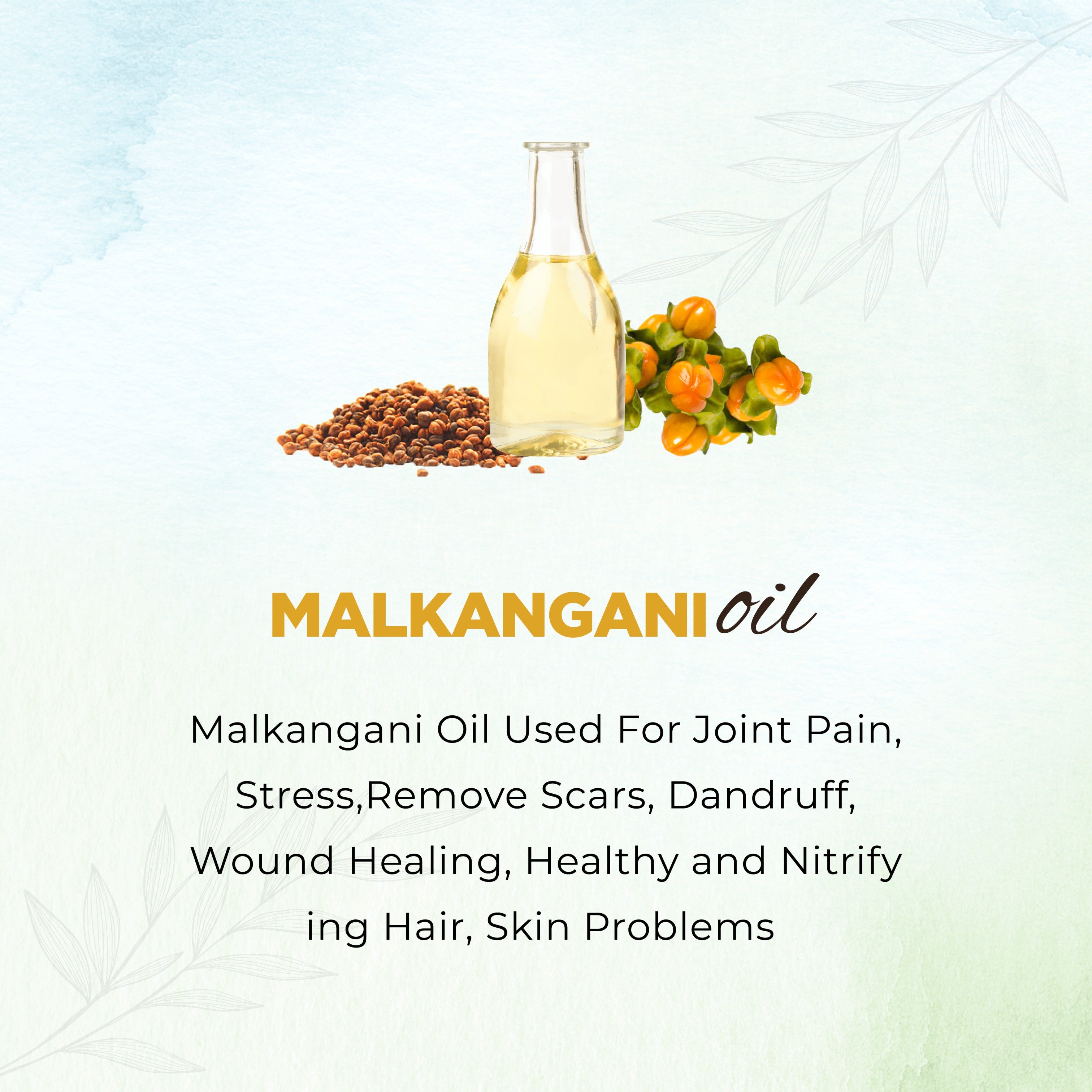Bottle of Malkangani oil with seeds and flowers on a light background