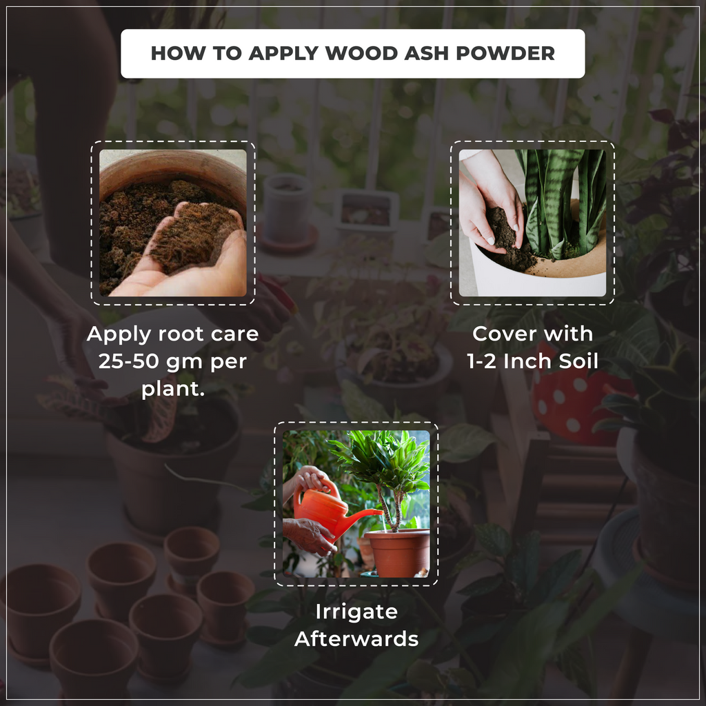 Instructions on applying wood ash powder to plants with text overlay.