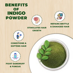 Benefits of indigo powder with a bowl of green powder on a beige background