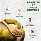 Benefits of Amla powder with a spoonful of powder and amla fruits on a white background.