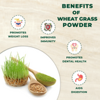 Benefits of wheat grass powder with images and text on a beige background
