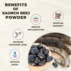 Benefits of Kaunch Beej Powder with illustrations and text on a beige background