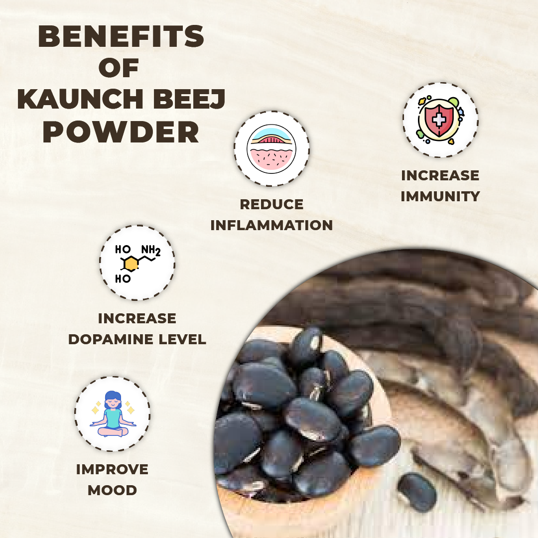 Benefits of Kaunch Beej Powder with illustrations and text on a beige background