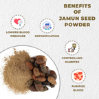 Jamun seed powder with benefits listed on a white background