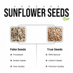 Comparison chart of fake and true sunflower seeds with Vedcare branding.