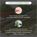 Instructions on using moringa powder with images and text overlay.