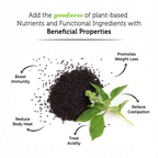 Vedcare Raw Basil Seeds | Sabja Seeds