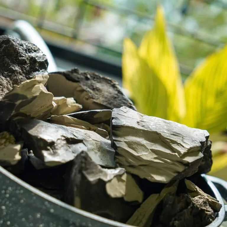 Close-up of decorative stones in a pot with blurred green plants in the background