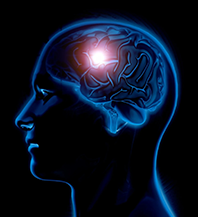 Brain & Memory Vedcare